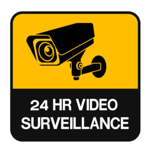 2. Video Vigilancia